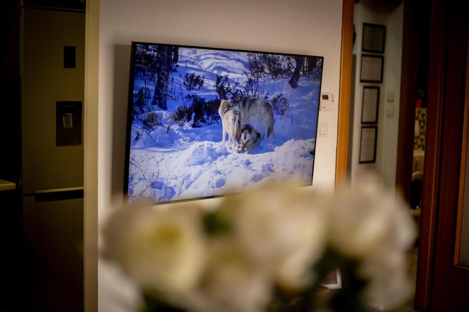 Apartman Elly Slavonski Brod Luaran gambar